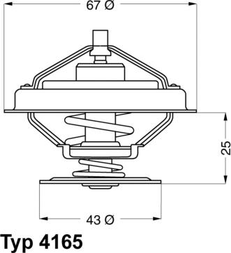 WAHLER 416579D - Termostat, środek chłodzący parts5.com