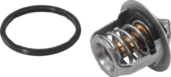 WAHLER 411716.88D - Thermostat d'eau parts5.com