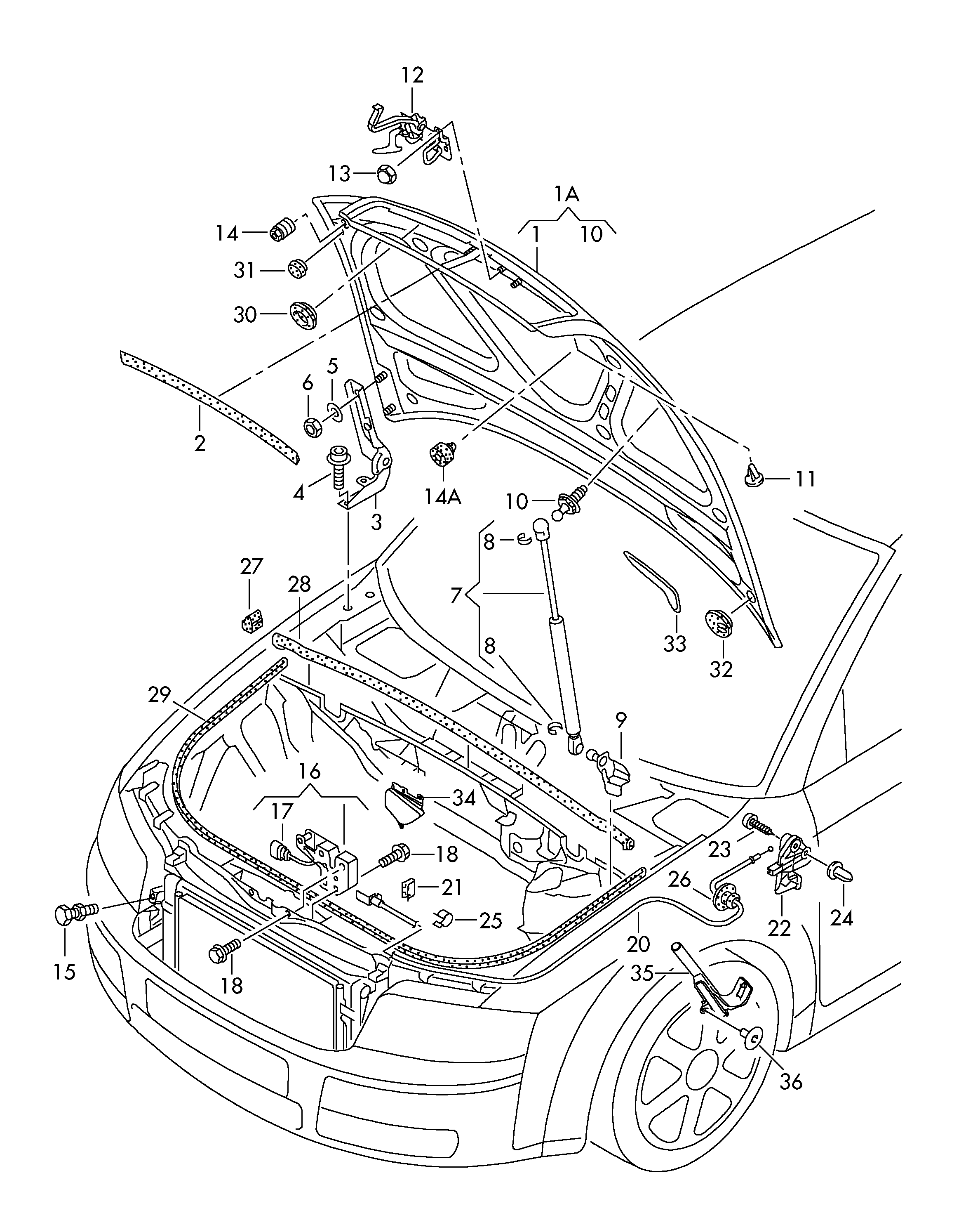 Seat 8E0 823 359 A - Sprężyna gazowa, pokrywa komory silnika parts5.com