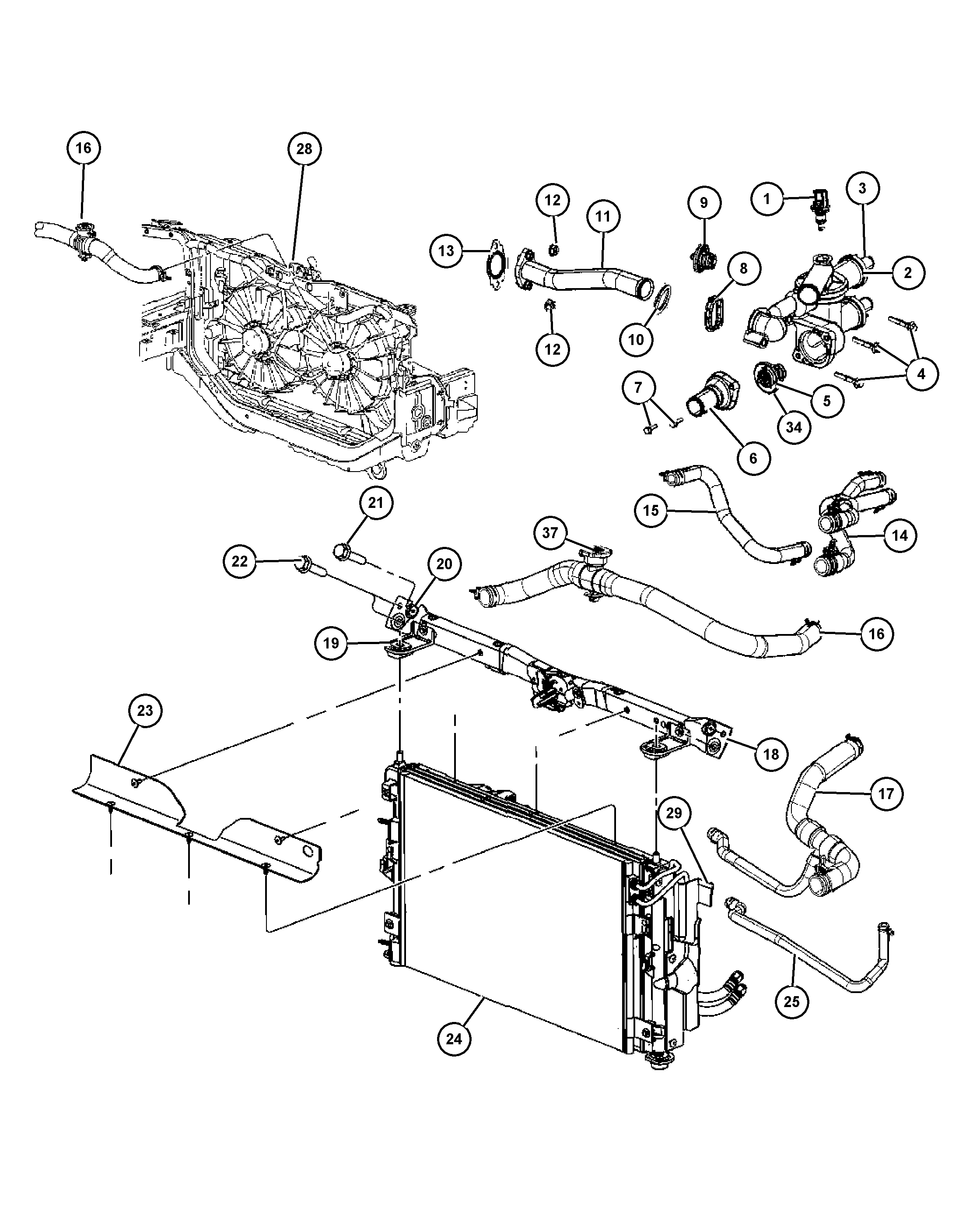 Dodge 68000 800AA - Termostat, hladilno sredstvo parts5.com