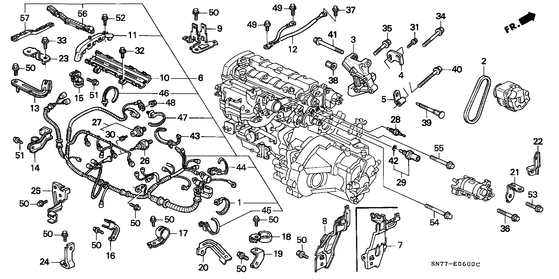 Honda 31110-P44-G03 - Kanallı V kayışı parts5.com