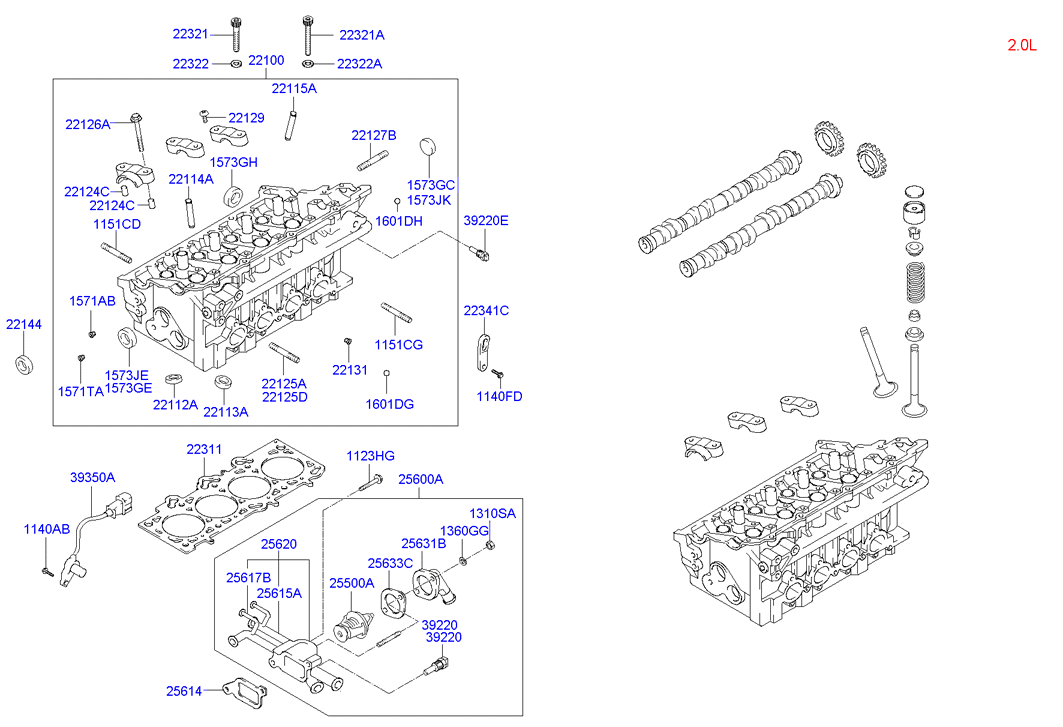 Hyundai 22144-3B000 - Yağ keçesi, Eksantrik mili parts5.com