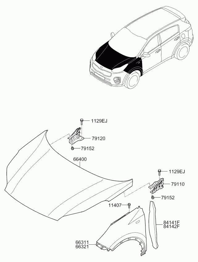 KIA 79110D9000 - Balama, capota motor parts5.com