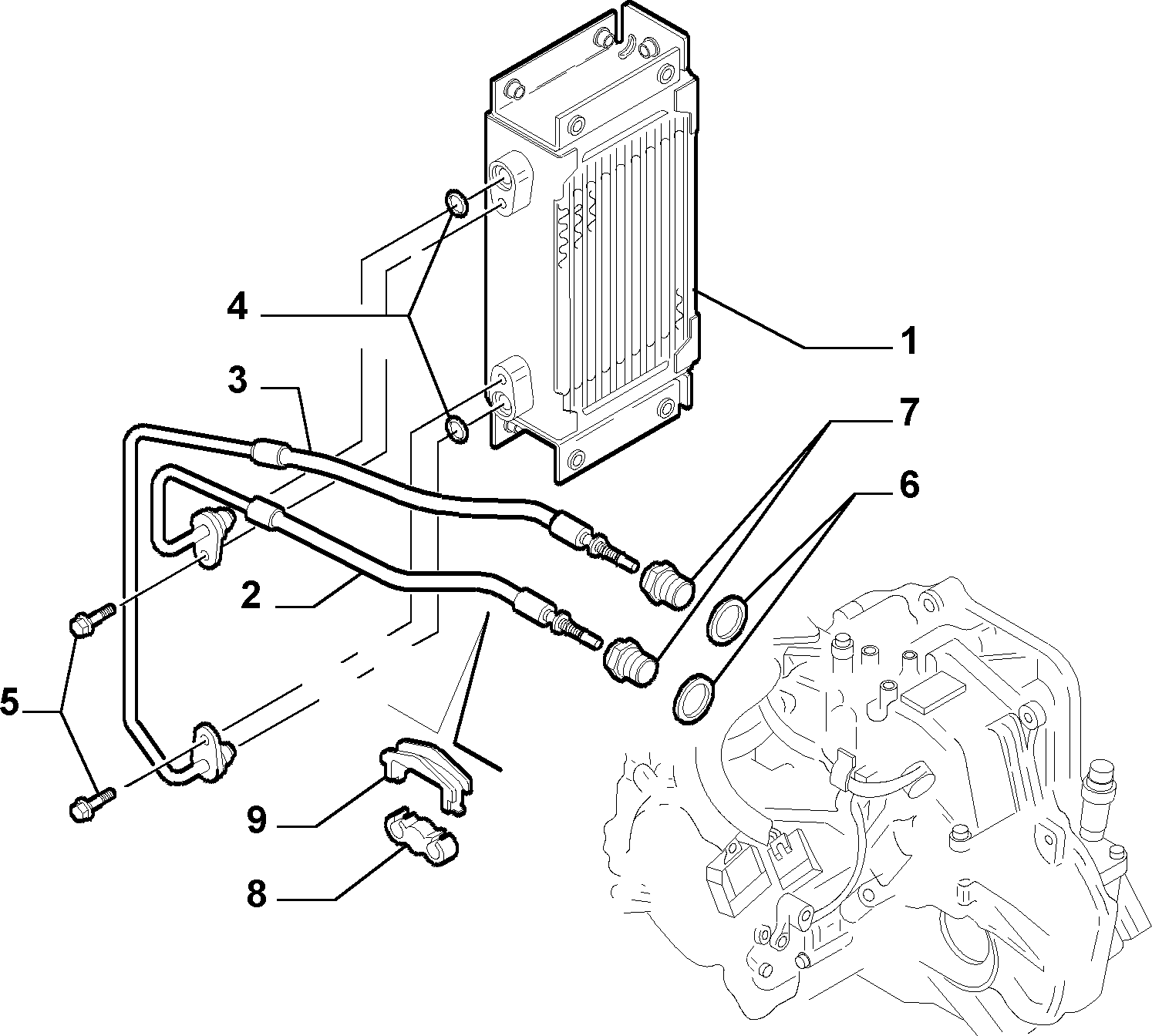 FIAT 10 261 160 - Conta, yağ boşaltma tapası parts5.com