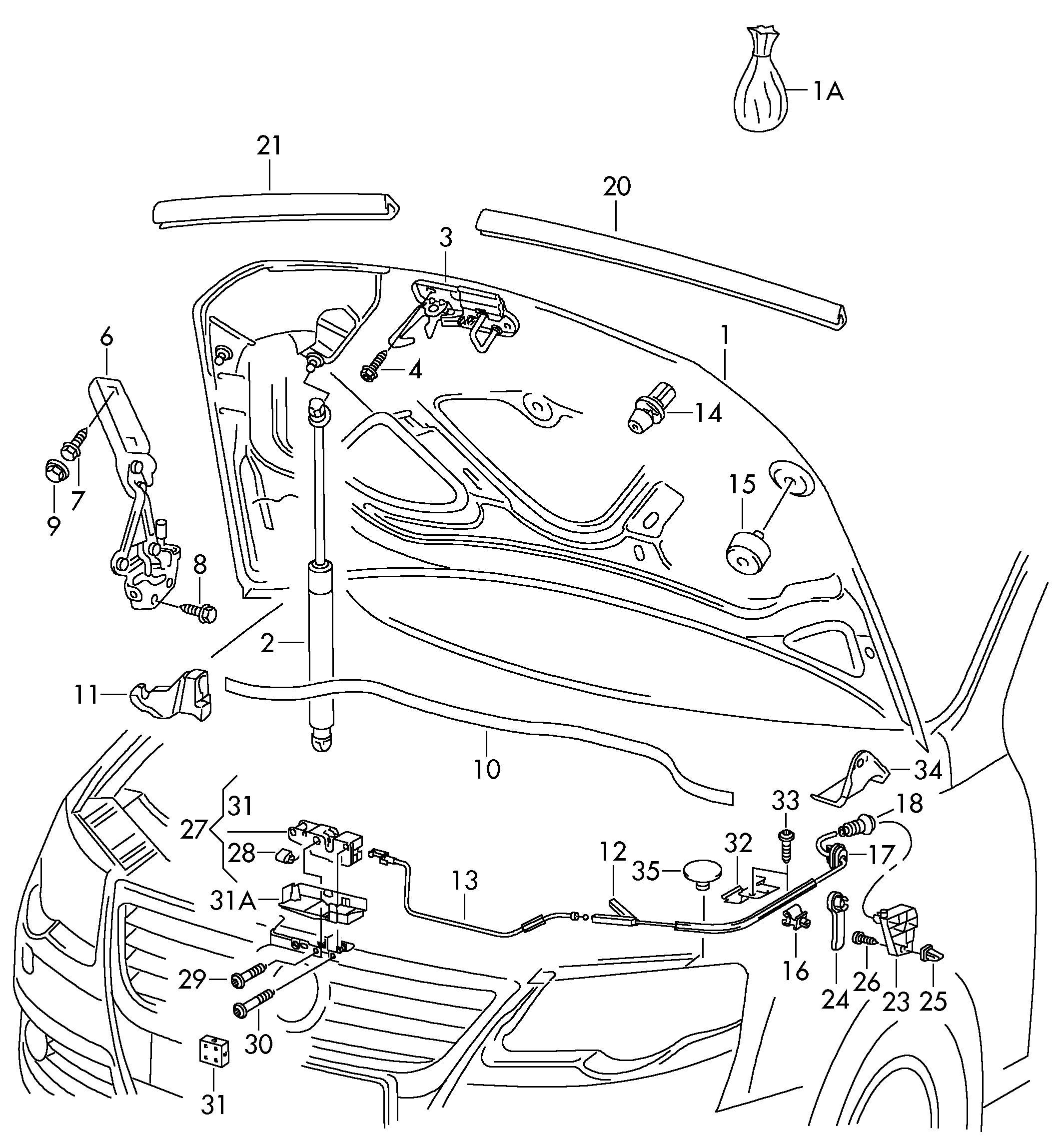 VW 3C0823031C - Capó del motor parts5.com